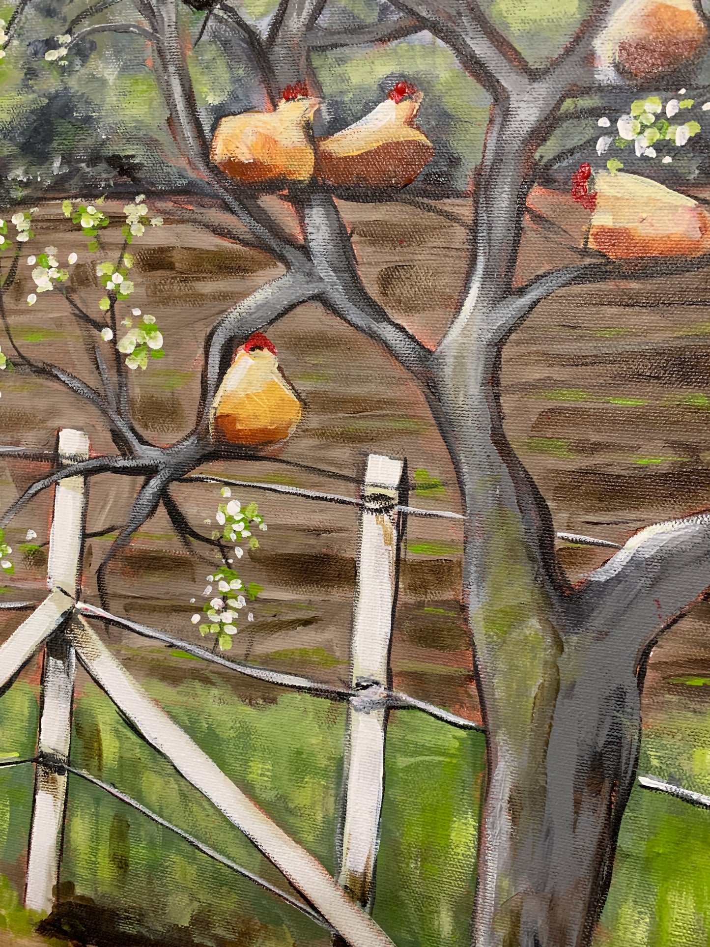 “The Chicken Tree”