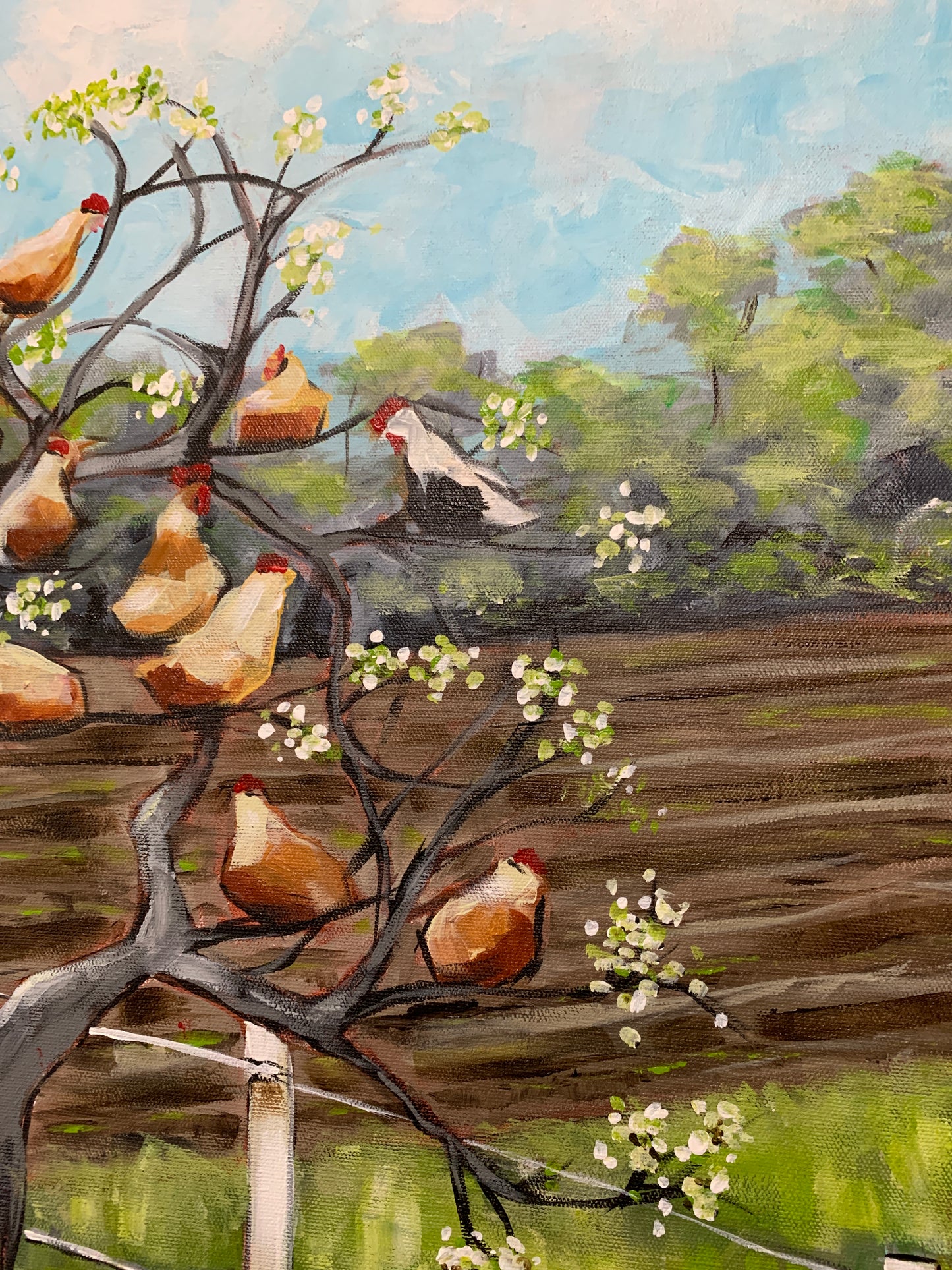 “The Chicken Tree”