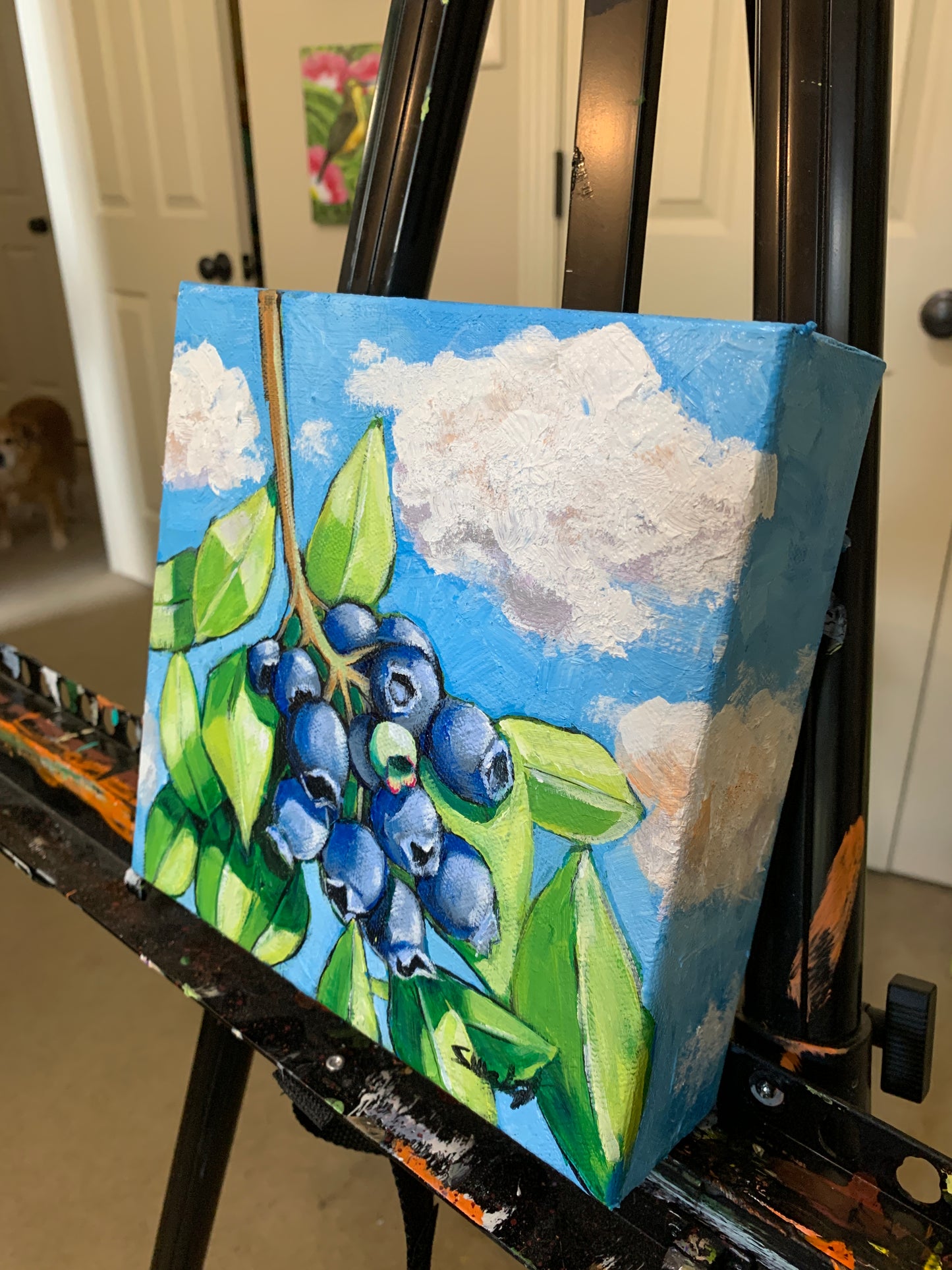 “Blueberry Summer”