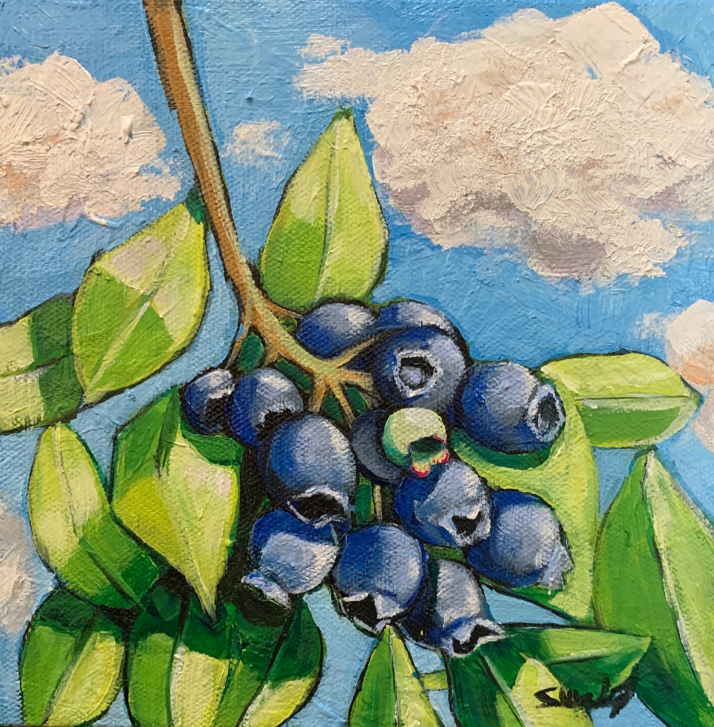 “Blueberry Summer”