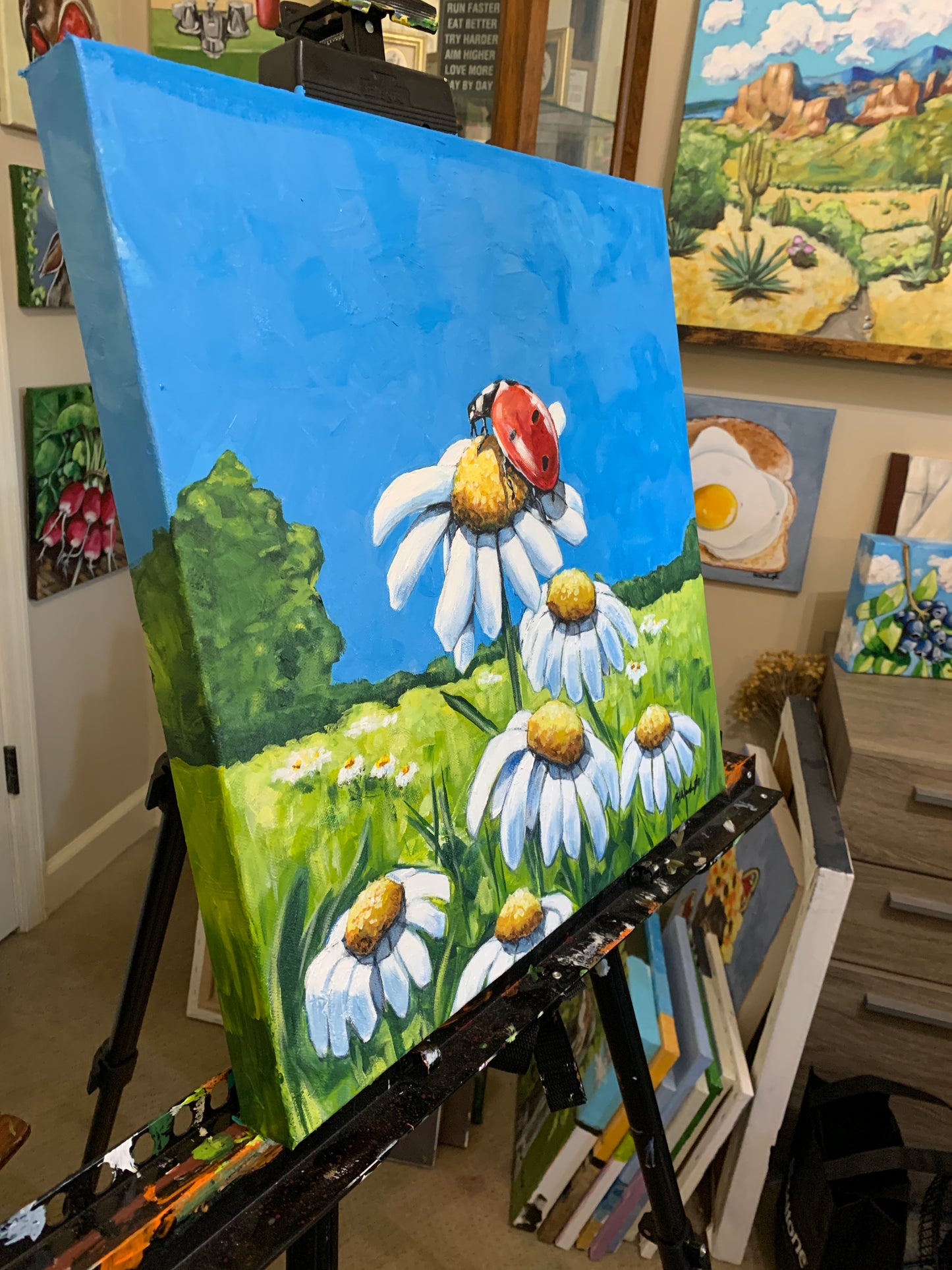 “Daisy Break”