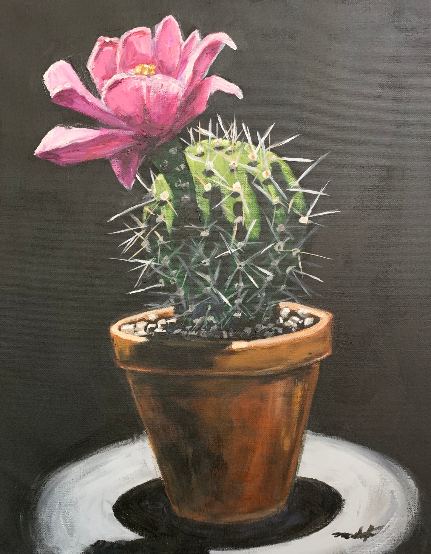“Cactus Blossom”