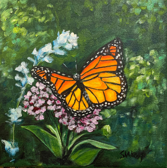 Monarch Moment