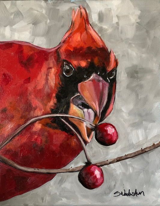 “Hungry Cardinal”