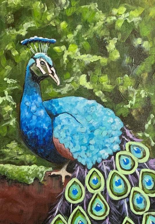 “Peacock”