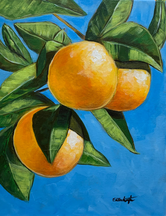 “Orange Tree”