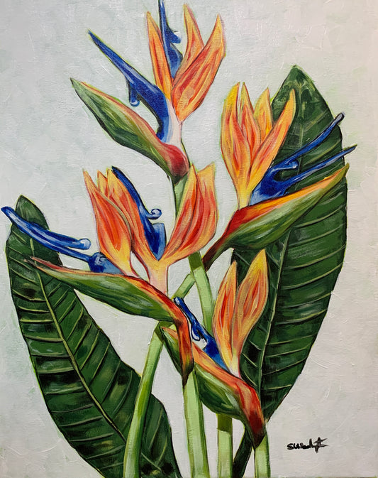 “Bird of Paradise”