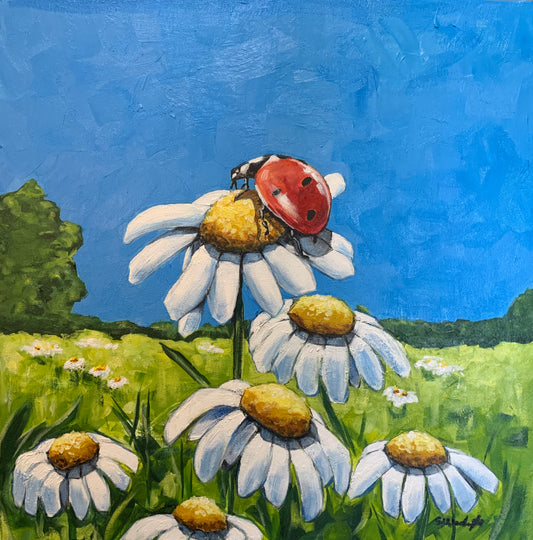 “Daisy Break”