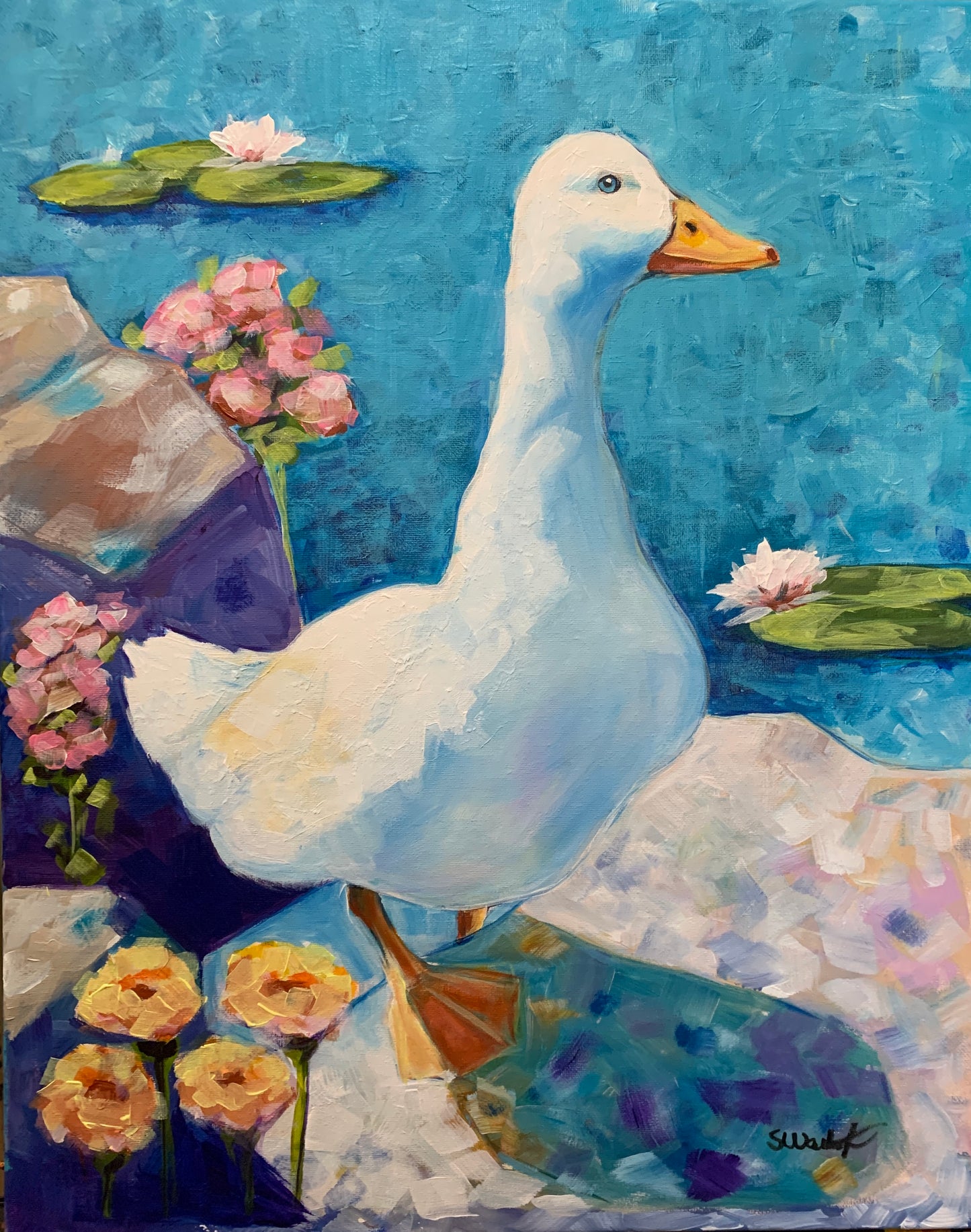 Summer Duck