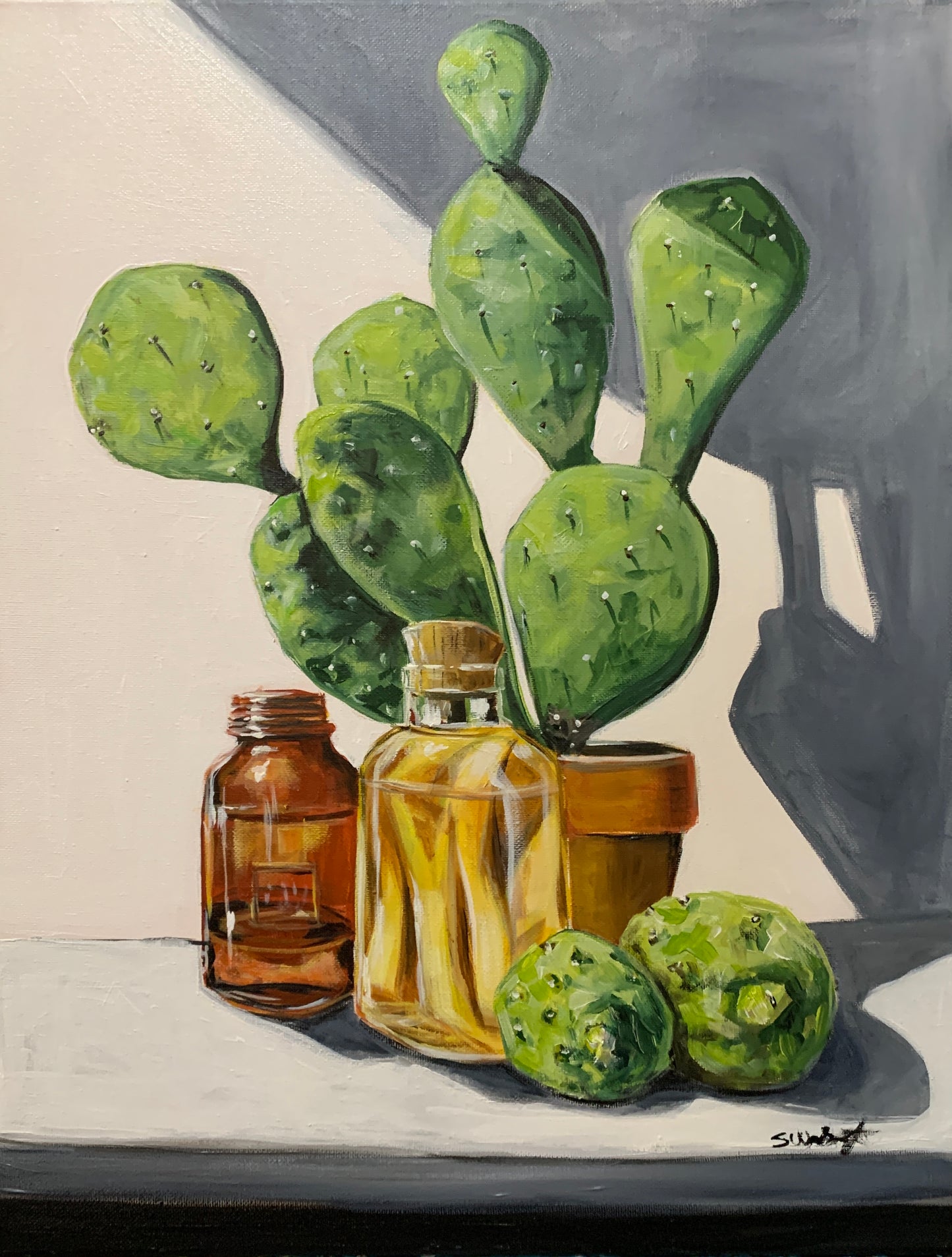 “Cactus And Jars”