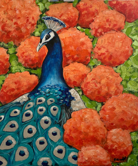 “Peacock Posing”