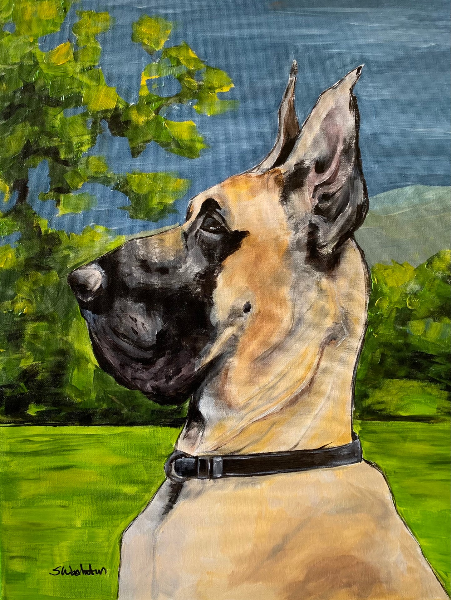 Pet Portrait Sample