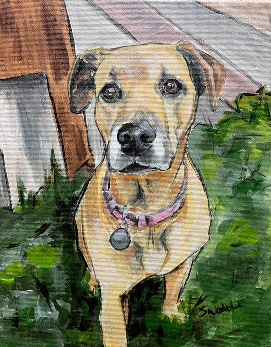 Pet Portrait Sample