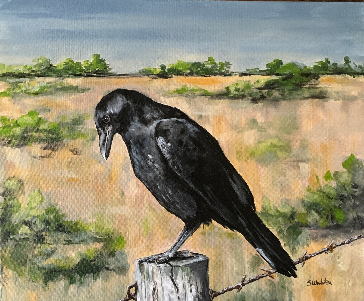 “Contemplative Crow”