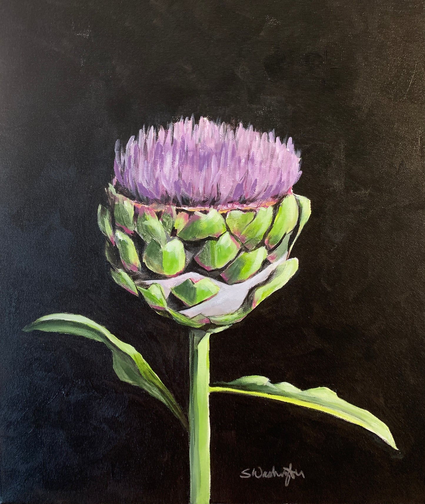 Flowering Artichoke